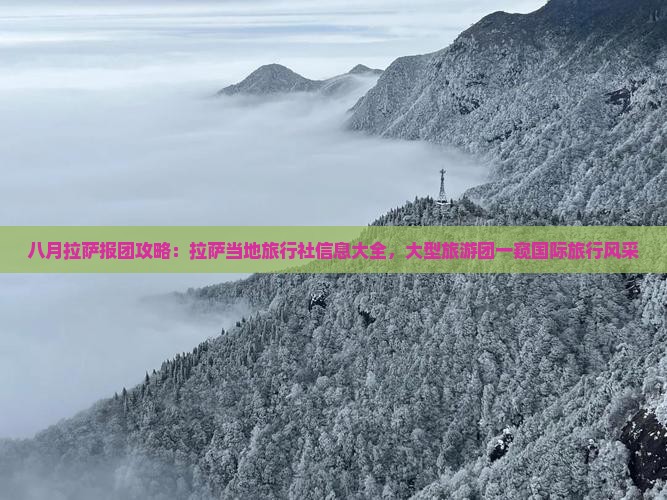 八月拉萨报团攻略：拉萨当地旅行社信息大全，大型旅游团一窥国际旅行风采