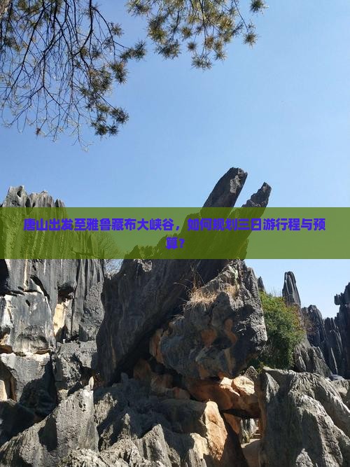 唐山出发至雅鲁藏布大峡谷，如何规划三日游行程与预算？