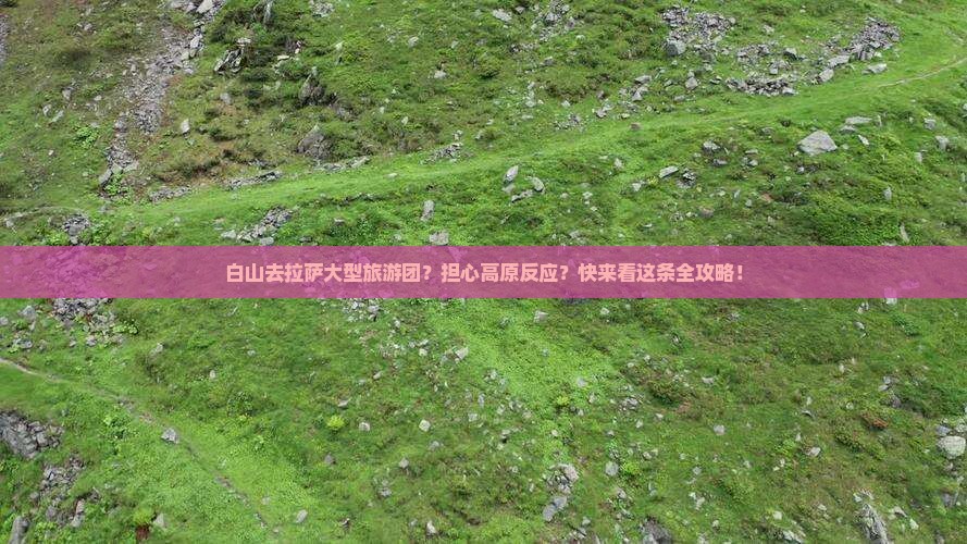 白山去拉萨大型旅游团？担心高原反应？快来看这条全攻略！