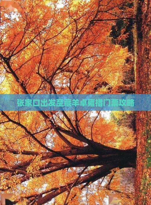 张家口出发至藏羊卓雍措门票攻略