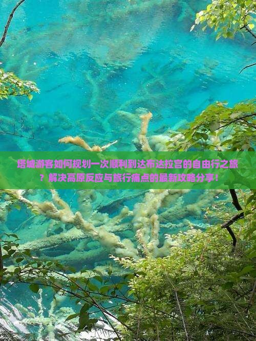 塔城游客如何规划一次顺利到达布达拉宫的自由行之旅？解决高原反应与旅行痛点的最新攻略分享！