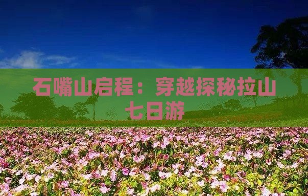 石嘴山启程：穿越探秘拉山七日游