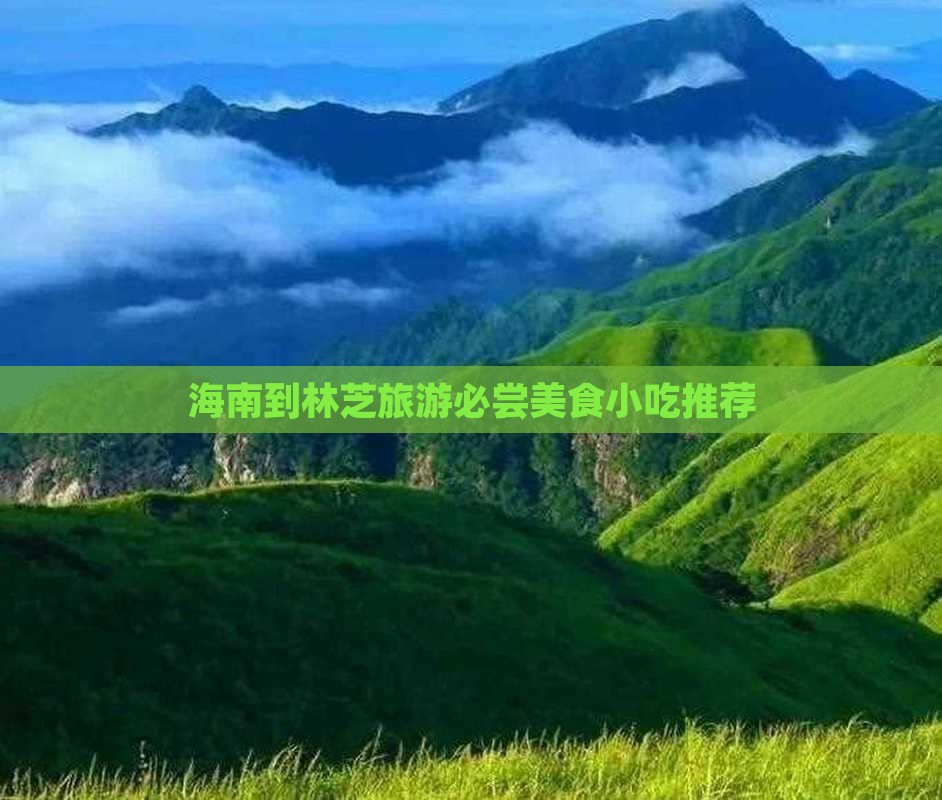 海南到林芝旅游必尝美食小吃推荐
