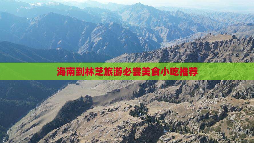 海南到林芝旅游必尝美食小吃推荐
