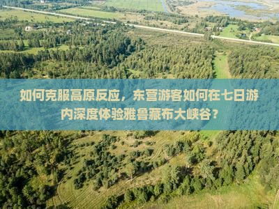 如何克服高原反应，东营游客如何在七日游内深度体验雅鲁藏布大峡谷？