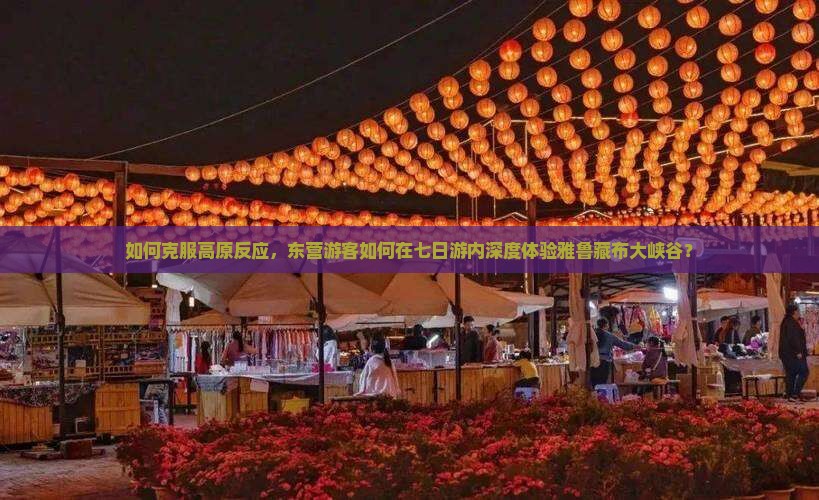如何克服高原反应，东营游客如何在七日游内深度体验雅鲁藏布大峡谷？