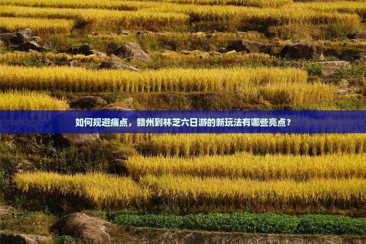 如何规避痛点，赣州到林芝六日游的新玩法有哪些亮点？