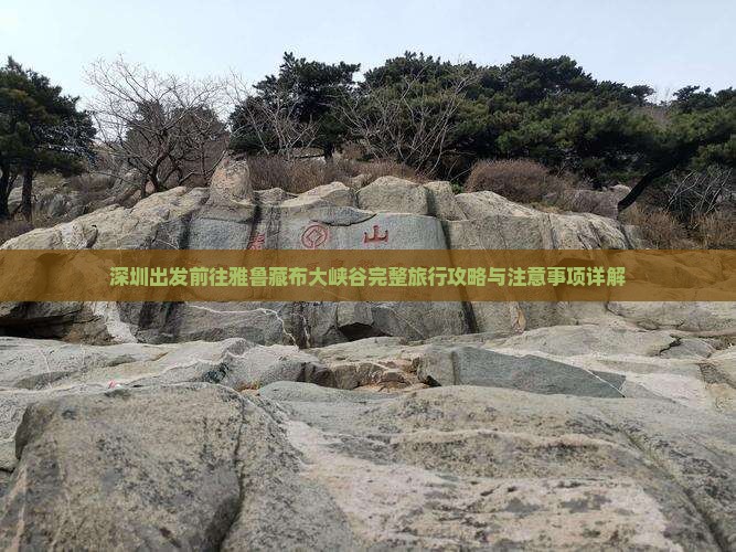 深圳出发前往雅鲁藏布大峡谷完整旅行攻略与注意事项详解