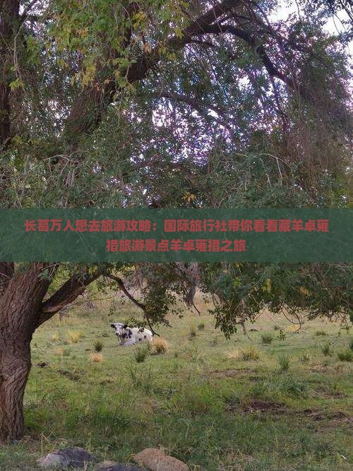 长葛万人想去旅游攻略：国际旅行社带你看看藏羊卓雍措旅游景点羊卓雍措之旅