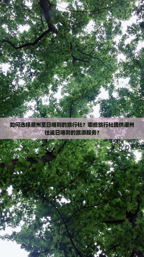 如何选择潮州至日喀则的旅行社？哪些旅行社提供潮州往返日喀则的旅游服务？