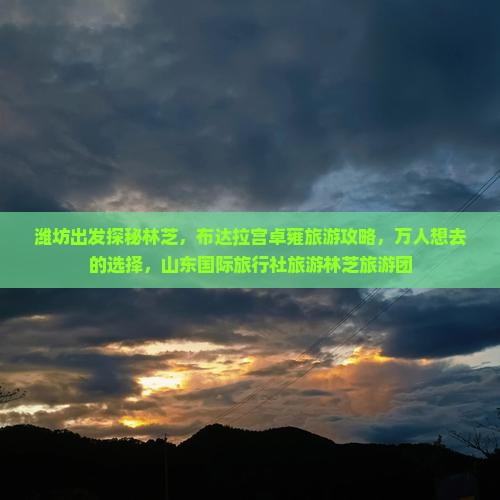潍坊出发探秘林芝，布达拉宫卓雍旅游攻略，万人想去的选择，山东国际旅行社旅游林芝旅游团