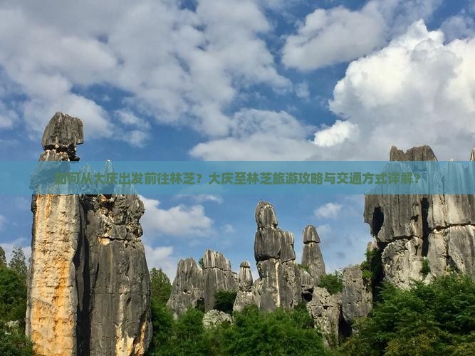 如何从大庆出发前往林芝？大庆至林芝旅游攻略与交通方式详解？