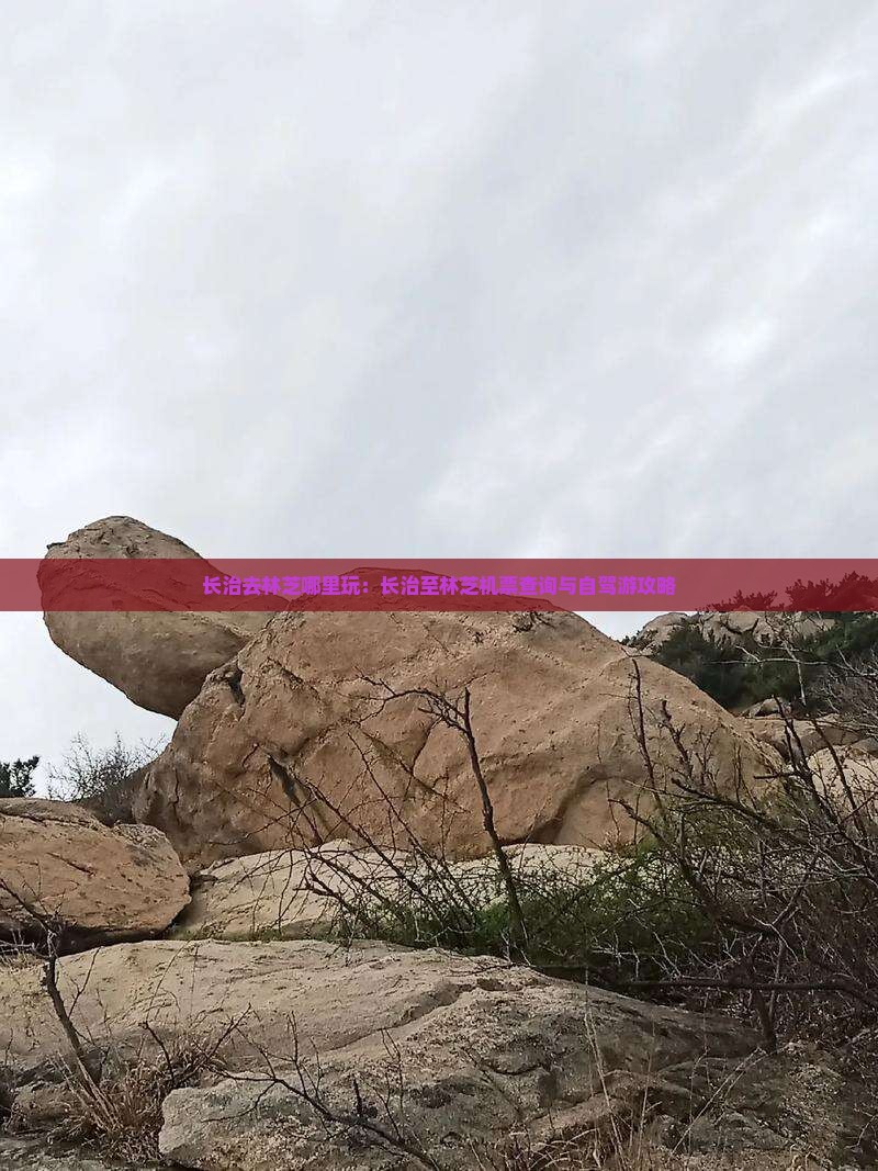 长治去林芝哪里玩：长治至林芝机票查询与自驾游攻略
