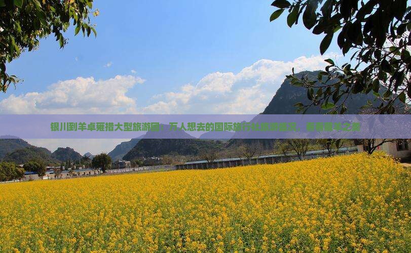 银川到羊卓雍措大型旅游团：万人想去的国际旅行社旅游盛况，看看藏羊之美