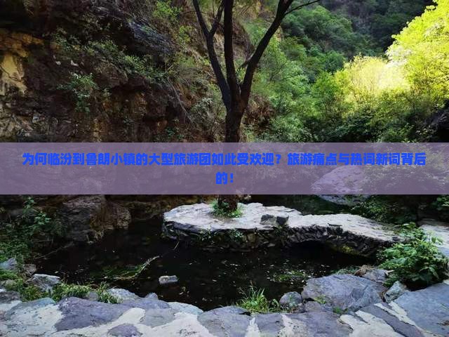 为何临汾到鲁朗小镇的大型旅游团如此受欢迎？旅游痛点与热词新词背后的！