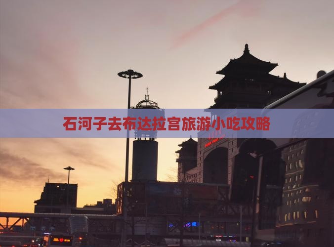 石河子去布达拉宫旅游小吃攻略