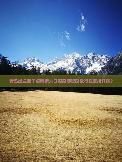 青岛出发至羊卓雍措六日深度游攻略及行程安排详解？