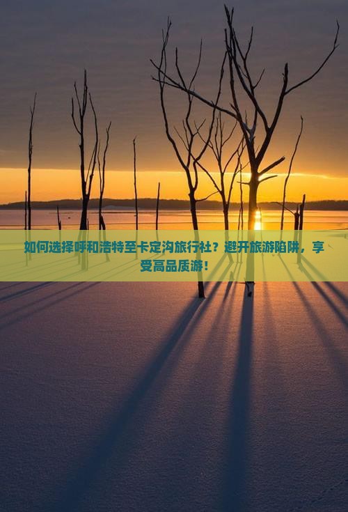 如何选择呼和浩特至卡定沟旅行社？避开旅游陷阱，享受高品质游！