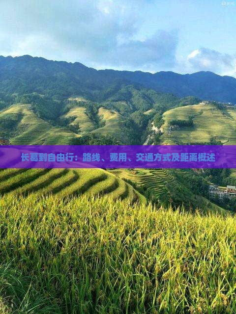 长葛到自由行：路线、费用、交通方式及距离概述