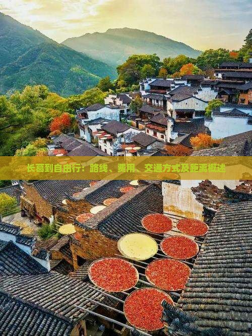 长葛到自由行：路线、费用、交通方式及距离概述