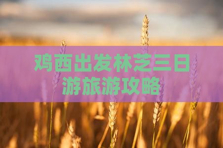 鸡西出发林芝三日游旅游攻略