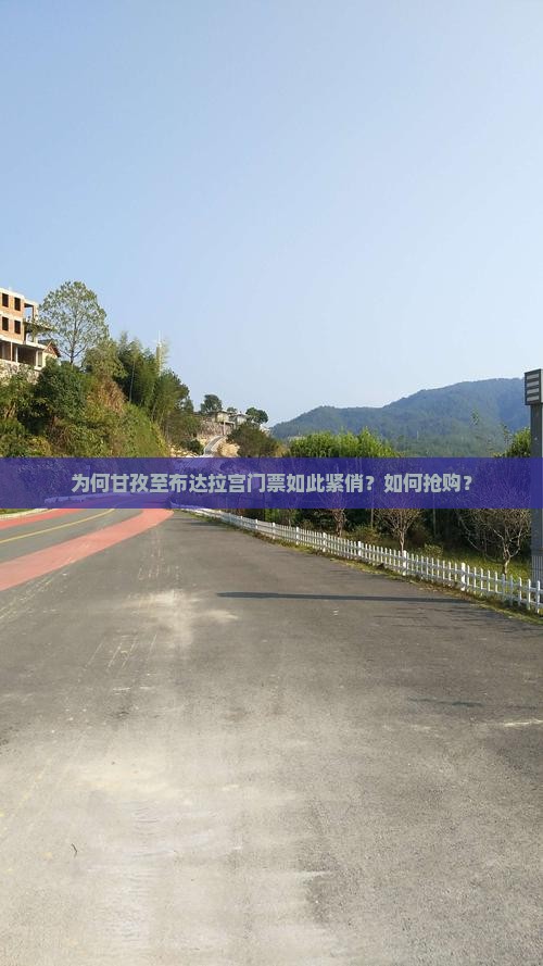 为何甘孜至布达拉宫门票如此紧俏？如何抢购？