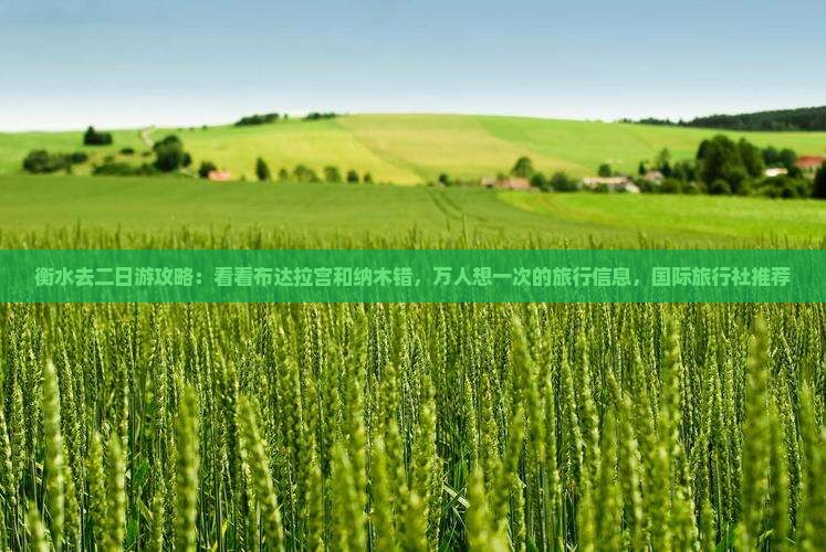 衡水去二日游攻略：看看布达拉宫和纳木错，万人想一次的旅行信息，国际旅行社推荐