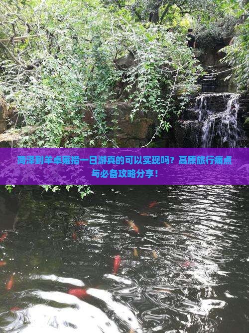 菏泽到羊卓雍措一日游真的可以实现吗？高原旅行痛点与必备攻略分享！
