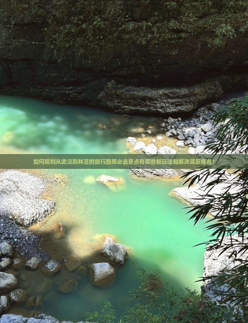 如何规划从武汉到林芝的旅行路犀必去景点有哪些新玩法能解决高反痛点？