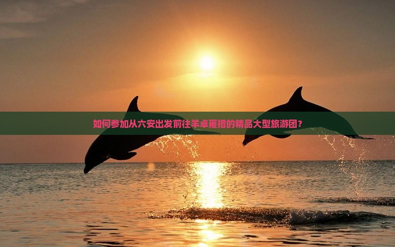 如何参加从六安出发前往羊卓雍措的精品大型旅游团？