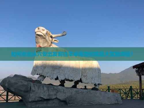 如何参加从六安出发前往羊卓雍措的精品大型旅游团？