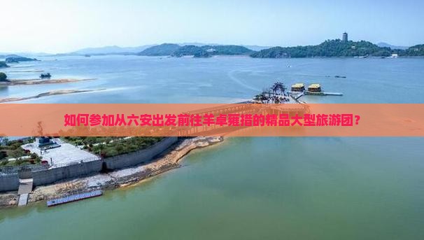 如何参加从六安出发前往羊卓雍措的精品大型旅游团？