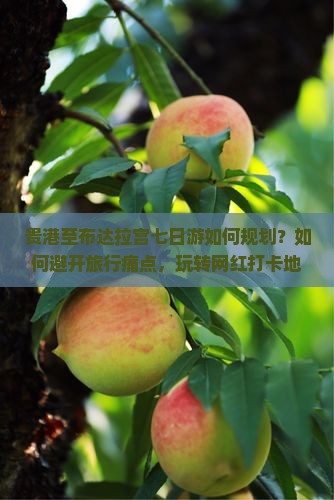 贵港至布达拉宫七日游如何规划？如何避开旅行痛点，玩转网红打卡地？