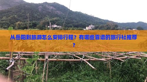 从岳阳到旅游怎么安排行程？有哪些靠谱的旅行社推荐？