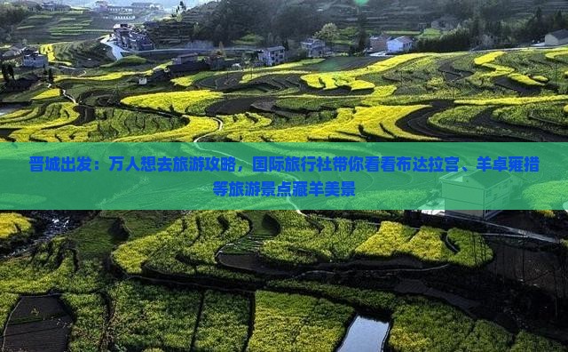 晋城出发：万人想去旅游攻略，国际旅行社带你看看布达拉宫、羊卓雍措等旅游景点藏羊美景