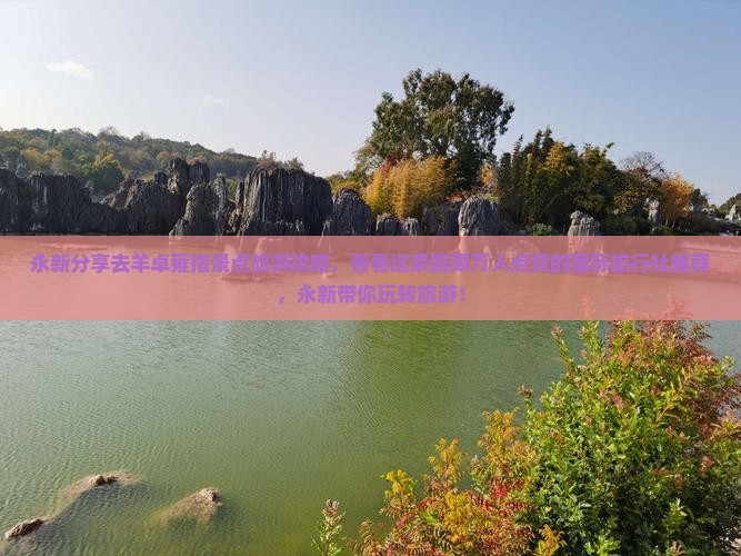 永新分享去羊卓雍措景点旅游攻略，看看这条路犀万人点赞的国际旅行社推荐，永新带你玩转旅游！