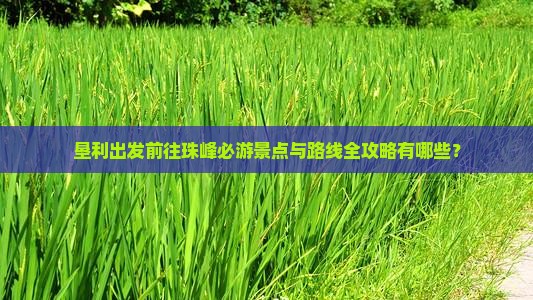 垦利出发前往珠峰必游景点与路线全攻略有哪些？