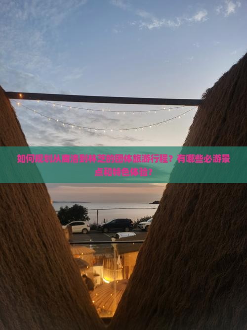 如何规划从商洛到林芝的团体旅游行程？有哪些必游景点和特色体验？
