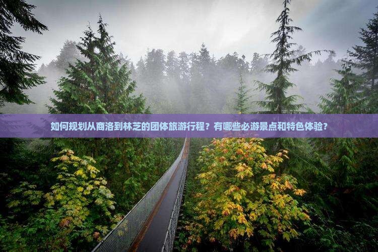 如何规划从商洛到林芝的团体旅游行程？有哪些必游景点和特色体验？