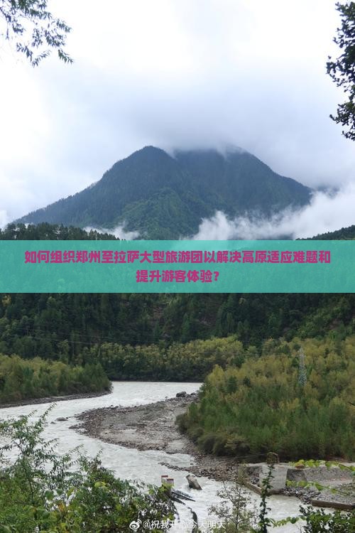 如何组织郑州至拉萨大型旅游团以解决高原适应难题和提升游客体验？
