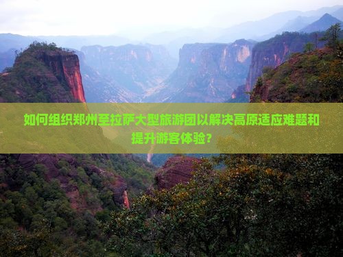 如何组织郑州至拉萨大型旅游团以解决高原适应难题和提升游客体验？