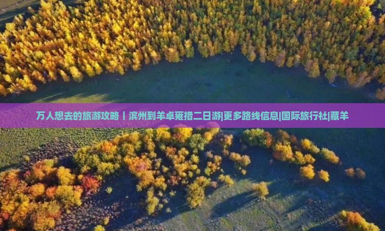 万人想去的旅游攻略｜滨州到羊卓雍措二日游|更多路线信息|国际旅行社|藏羊