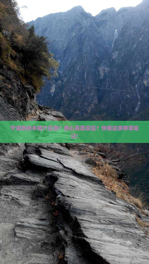 宁波到纳木措六日游？担心高原反应？快看这条种草笔记！