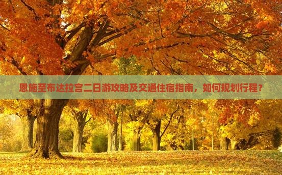 恩施至布达拉宫二日游攻略及交通住宿指南，如何规划行程？