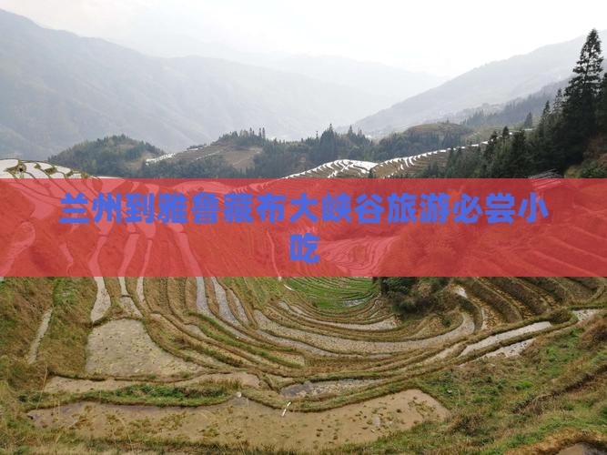 兰州到雅鲁藏布大峡谷旅游必尝小吃