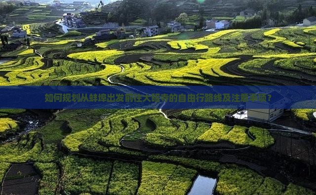 如何规划从蚌埠出发前往大昭寺的自由行路线及注意事项？