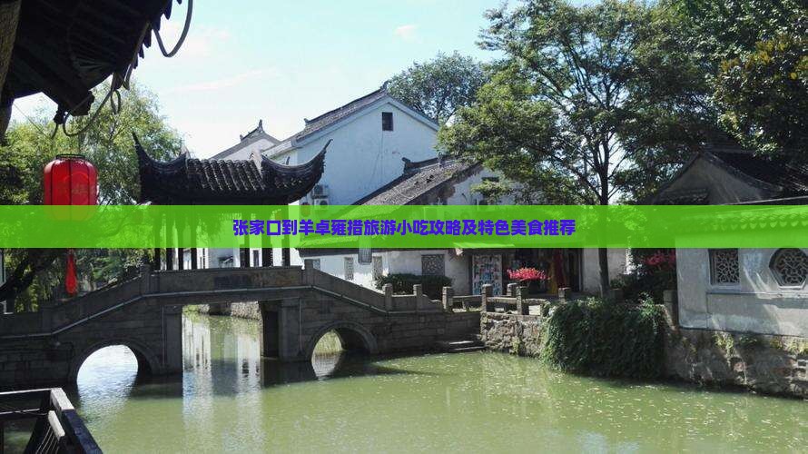 张家口到羊卓雍措旅游小吃攻略及特色美食推荐