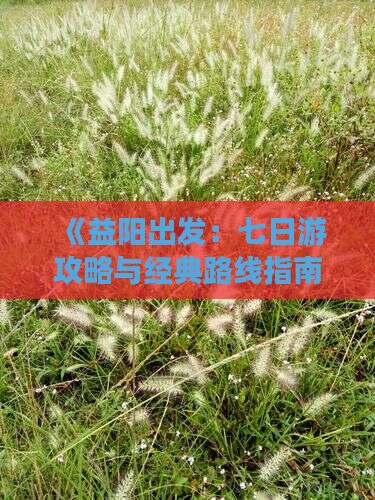 《益阳出发：七日游攻略与经典路线指南》