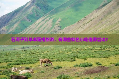 石河子到羊卓雍措旅游，有哪些特色小吃值得尝试？