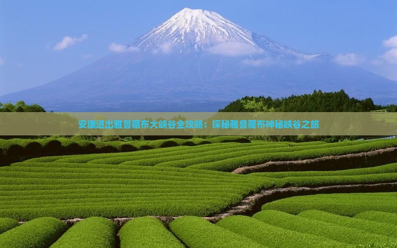 安康进出雅鲁藏布大峡谷全攻略：探秘雅鲁藏布神秘峡谷之旅